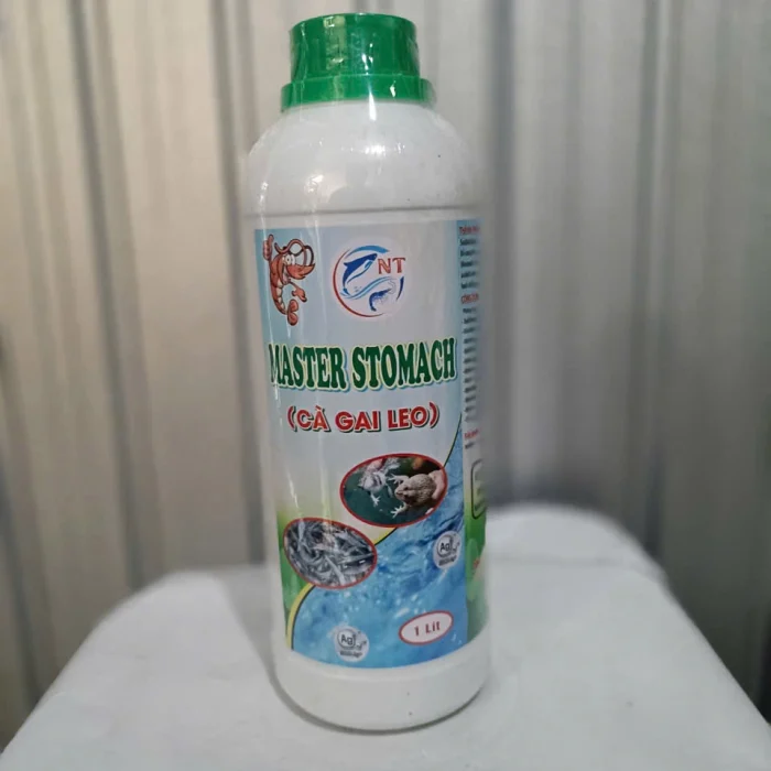Master Stomach