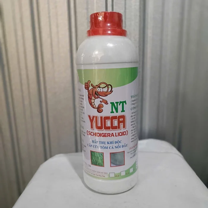 NT YUCCA